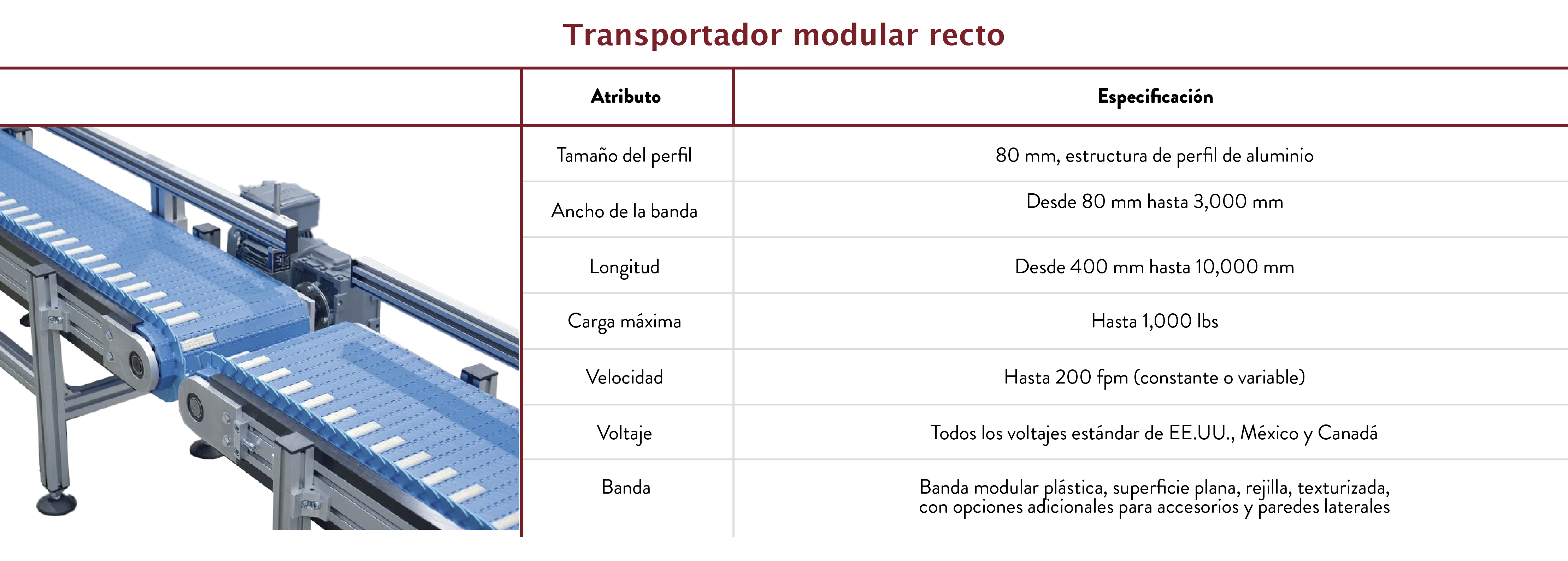 Transportador modular recto